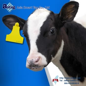 Cattle Ear Tag _UHF_